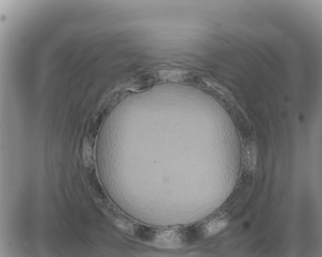 X0000080680705200612301425