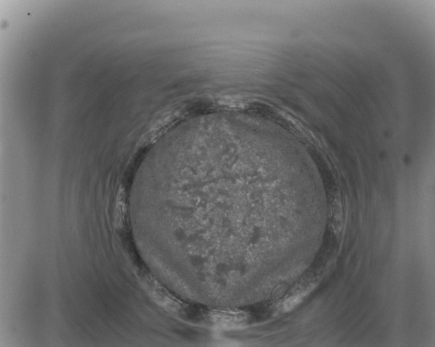 X0000080680707200612301425