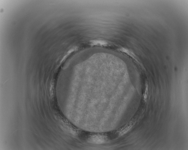 X0000080680708200612301425