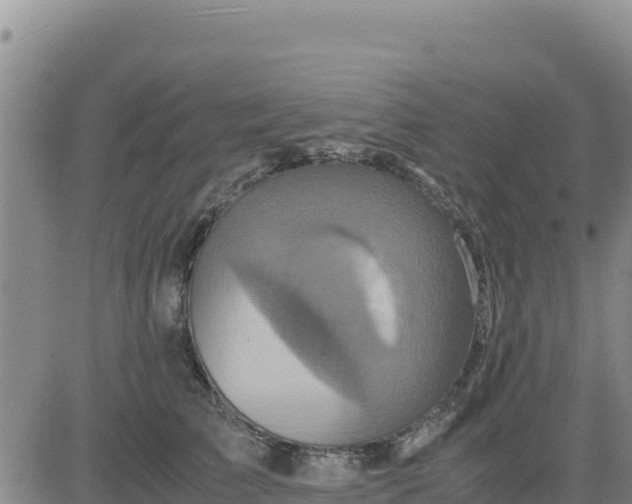 X0000080680709200612301425