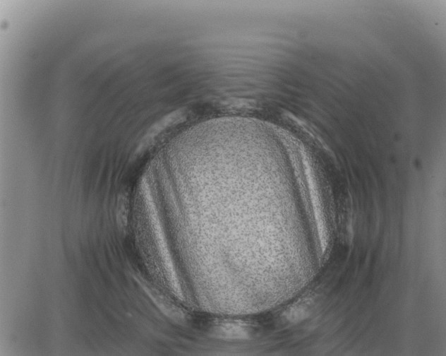 X0000080680710200612301425