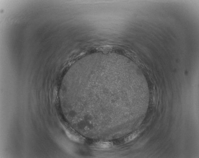 X0000080680711200612301425