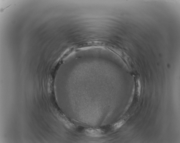 X0000080680712200612301425