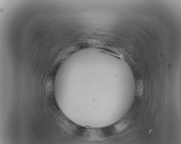 X0000080680713200612301425