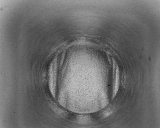 X0000080680714200612301425