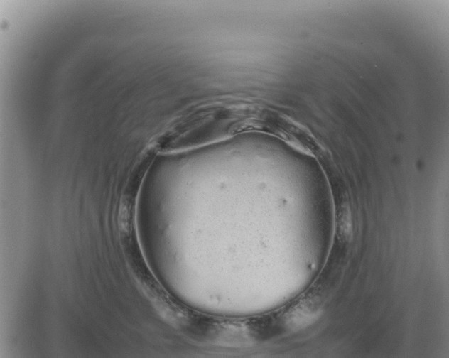 X0000080680715200612301425