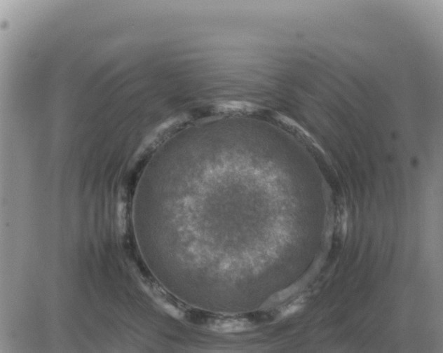 X0000080680716200612301425