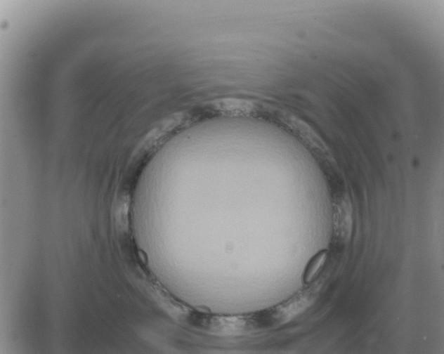 X0000080680717200612301425