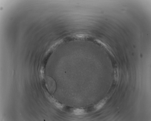 X0000080680718200612301425