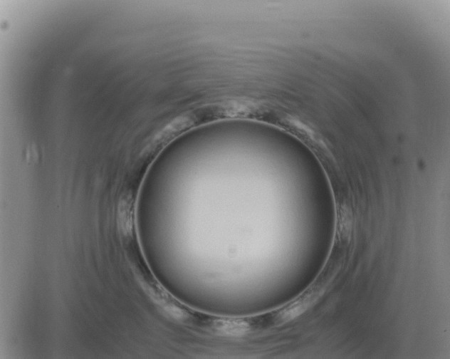 X0000080680719200612301425