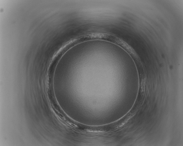 X0000080680722200612301424