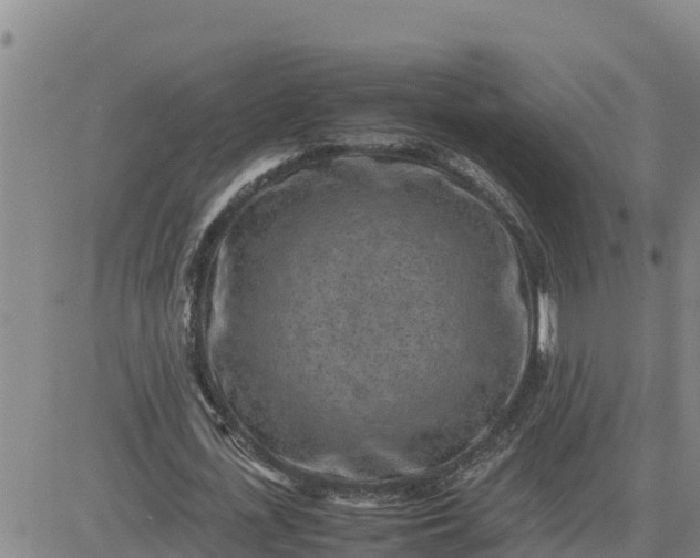 X0000080680723200612301424