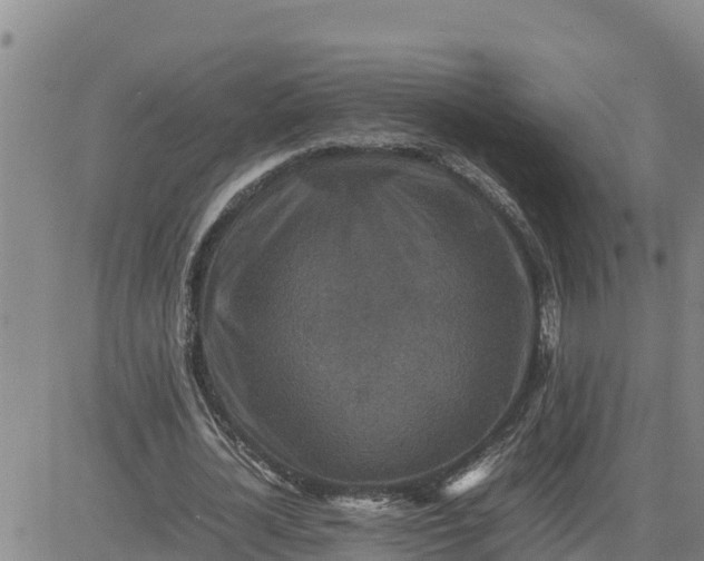 X0000080680724200612301424