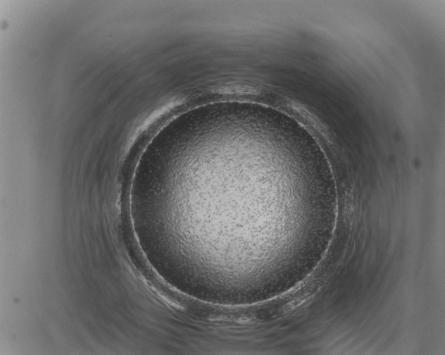 X0000080680727200612301424