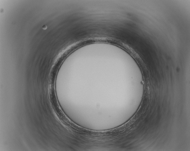 X0000080680728200612301424