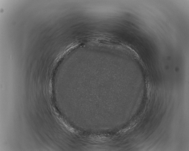 X0000080680729200612301424