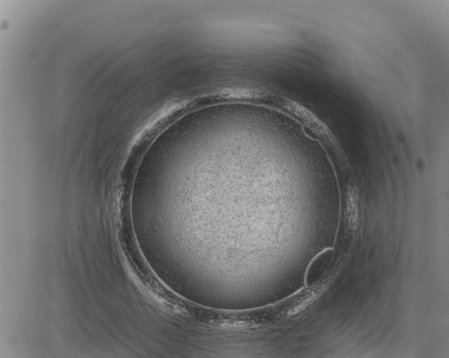 X0000080680730200612301424