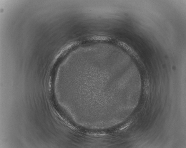 X0000080680731200612301424