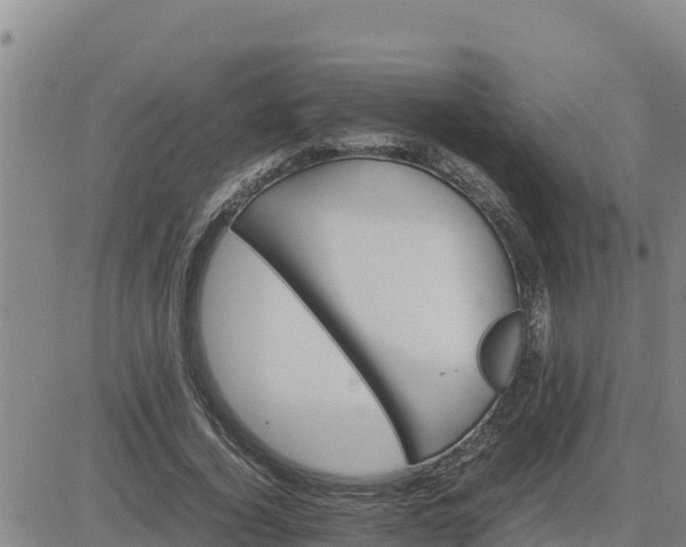 X0000080680732200612301424