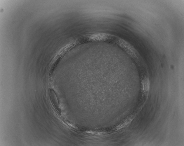 X0000080680733200612301424