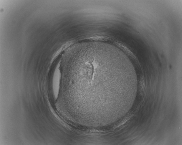 X0000080680734200612301424