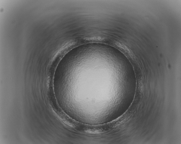 X0000080680735200612301424