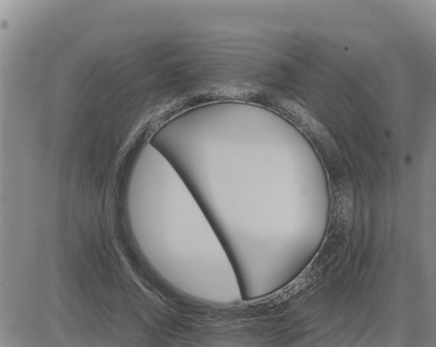 X0000080680736200612301424