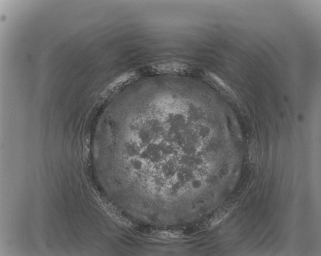 X0000080680737200612301424