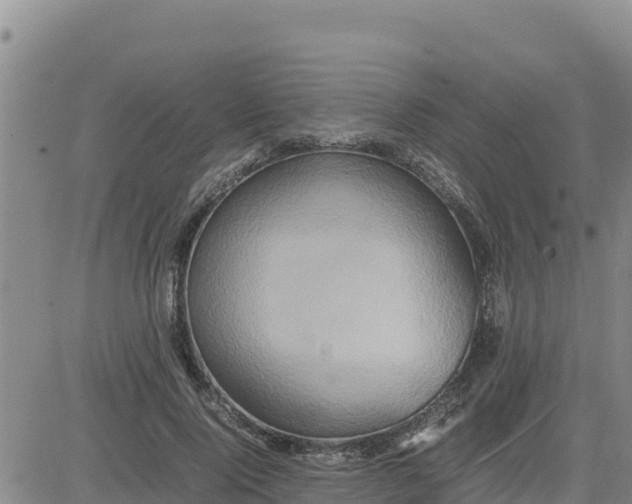 X0000080680740200612301424