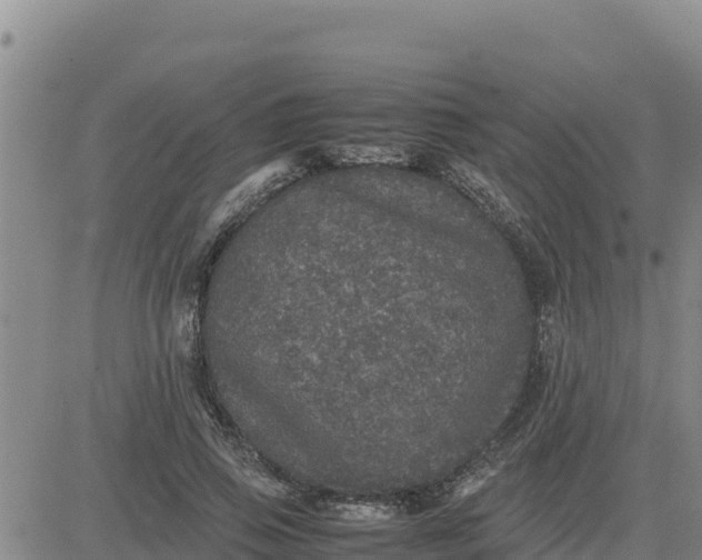 X0000080680741200612301424