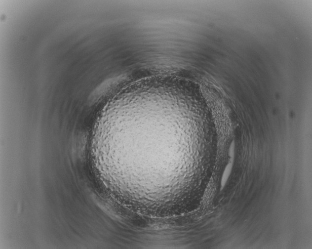 X0000080680742200612301424