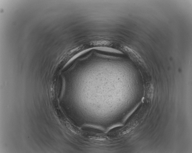 X0000080680743200612301424