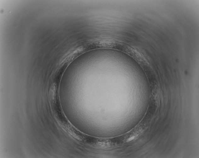 X0000080680744200612301424