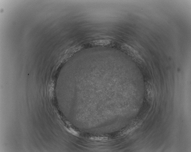 X0000080680745200612301424