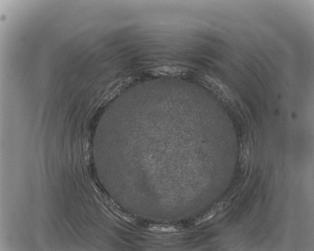 X0000080680749200612301424