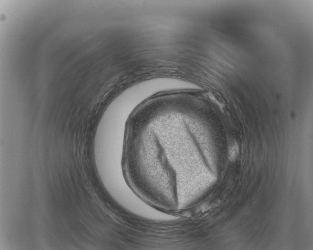 X0000080680750200612301424