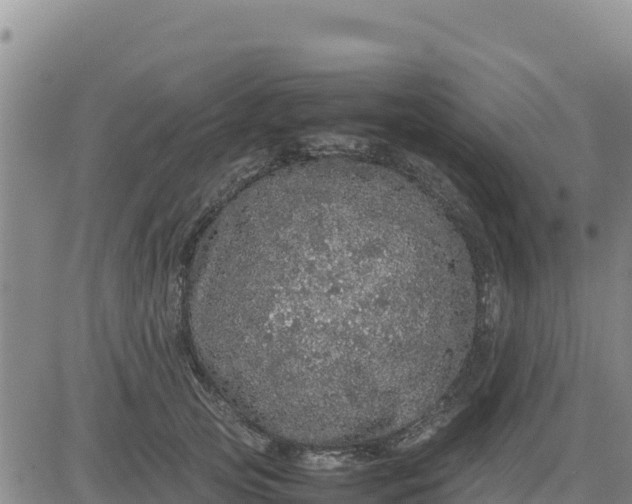 X0000080680753200612301424