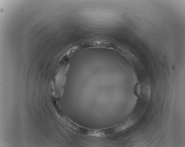 X0000080680754200612301424