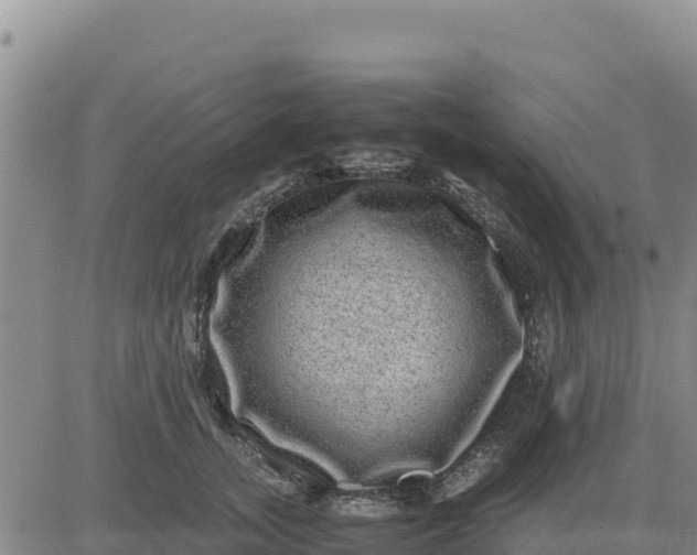 X0000080680755200612301424