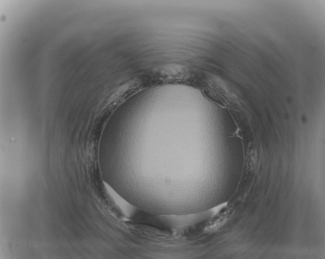 X0000080680756200612301424