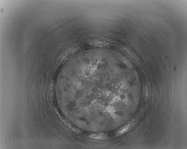 X0000080680757200612301424