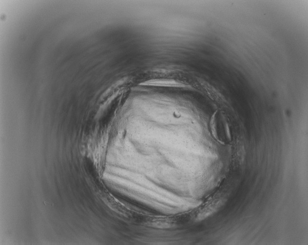 X0000080680758200612301424