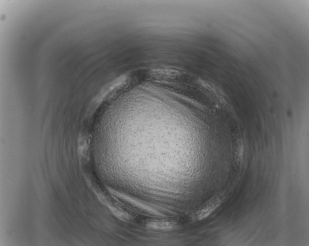 X0000080680759200612301424