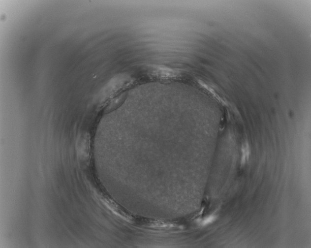 X0000080680760200612301424