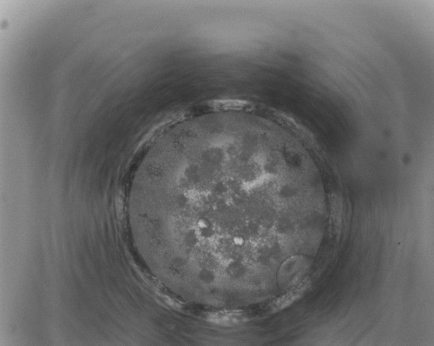 X0000080680761200612301424