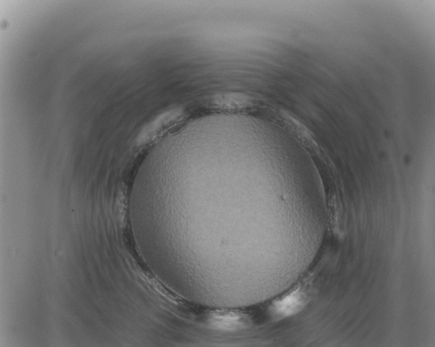 X0000080680762200612301424