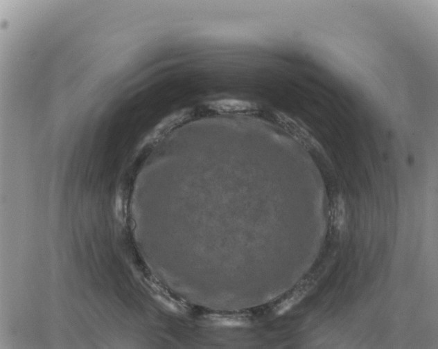 X0000080680763200612301424