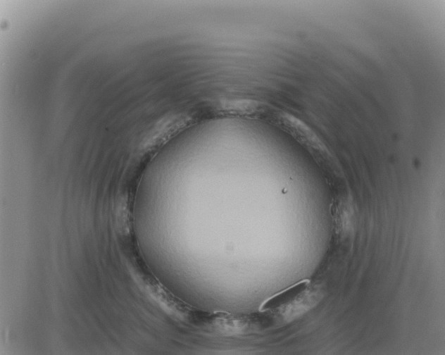 X0000080680764200612301424