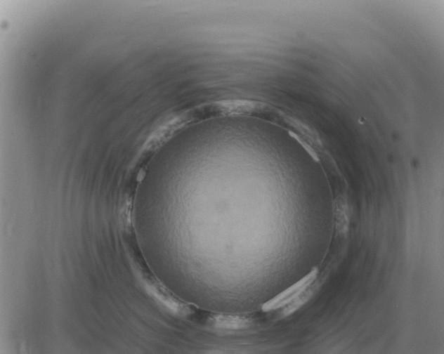 X0000080680766200612301424