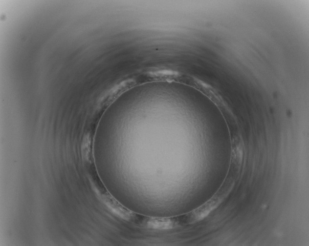 X0000080680767200612301425